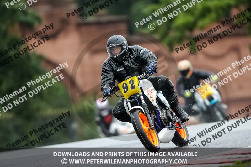 anglesey;brands hatch;cadwell park;croft;donington park;enduro digital images;event digital images;eventdigitalimages;mallory;no limits;oulton park;peter wileman photography;racing digital images;silverstone;snetterton;trackday digital images;trackday photos;vmcc banbury run;welsh 2 day enduro